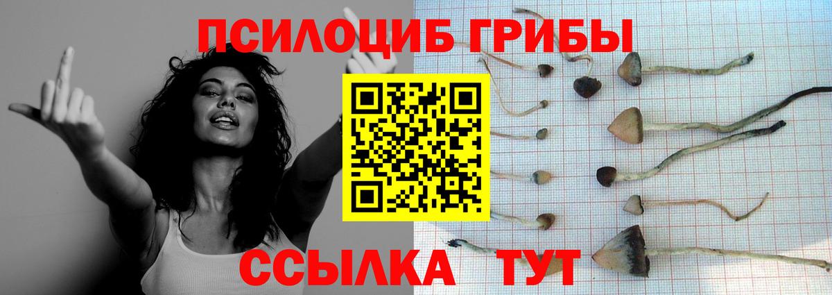 Котельники  Галлюциногенные грибы MAGIC MUSHROOMS  Вход с VPN  Псилоцибиновые грибы Magic Shrooms 
